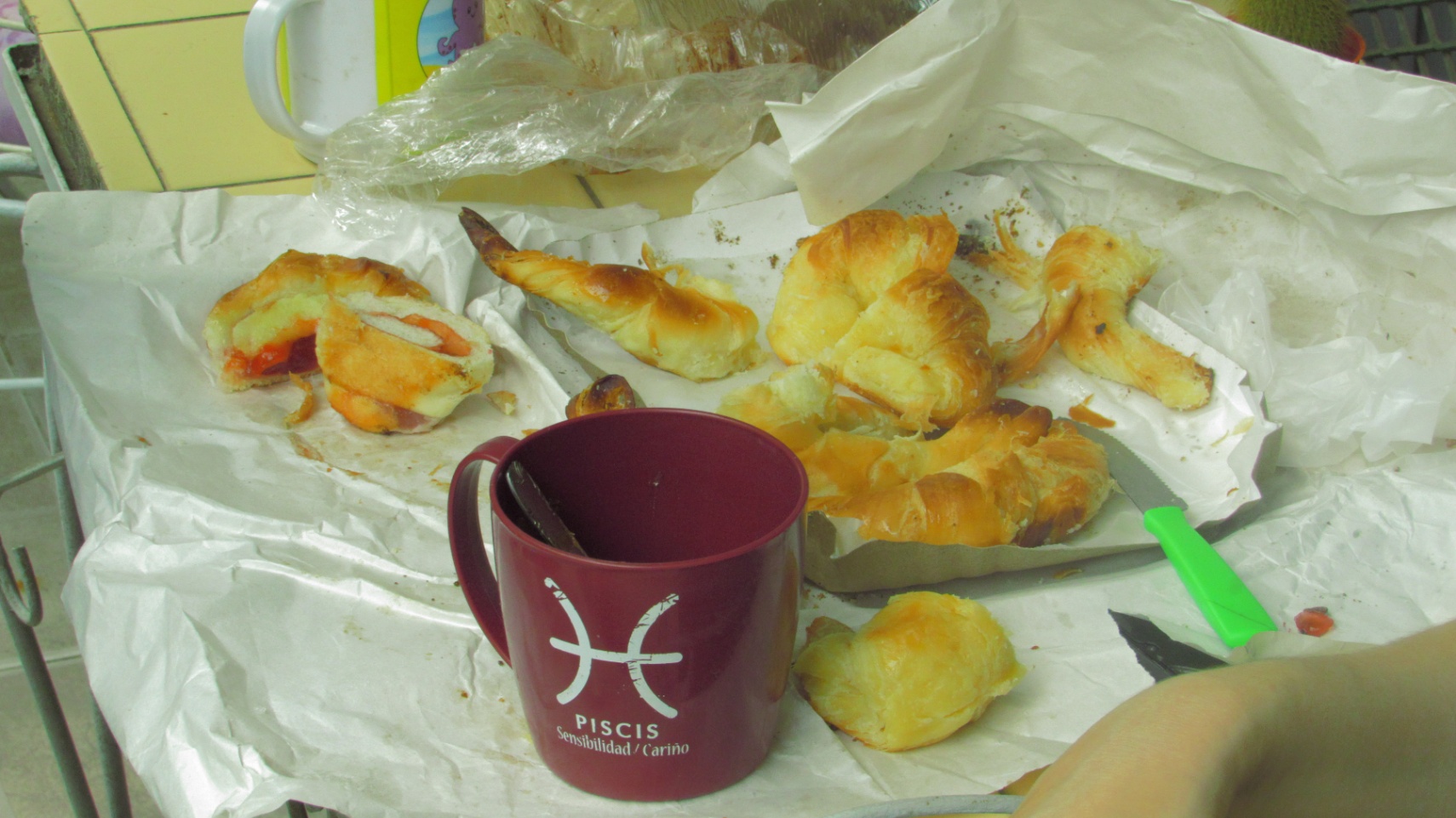 rogá un milagro de marzo