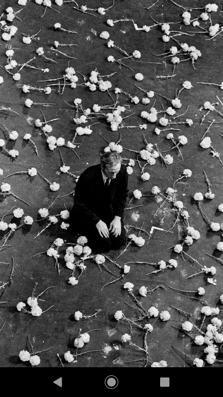 ๐๐ข๐ซ๐ข๐ฌ๐ข๐ญ๐๐ฌ โ๏ธ cover img