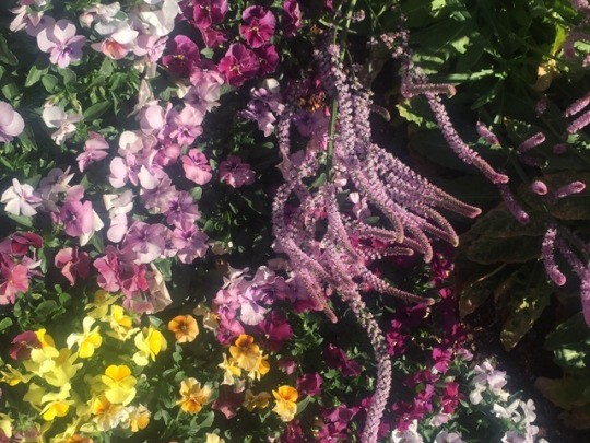 el cielo es un lugar en la tierra con vos