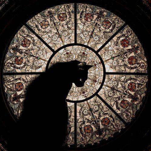 La Liturgia de los Olvidados