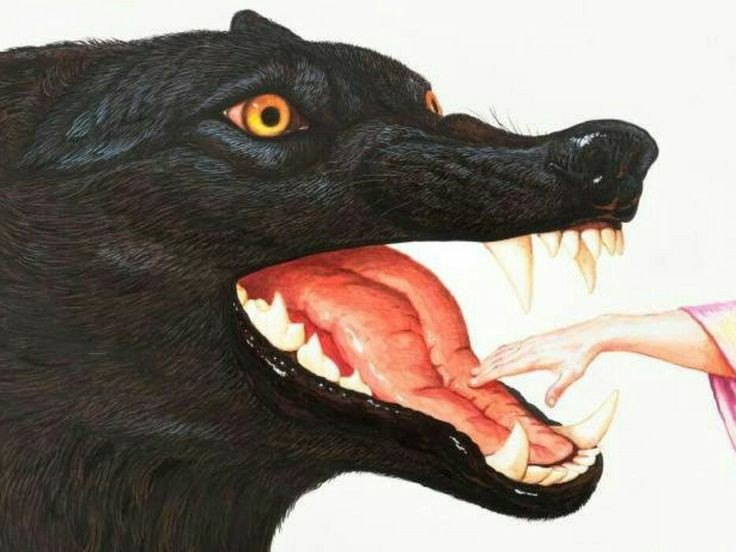 Analogía sobre lo que se arrastra 