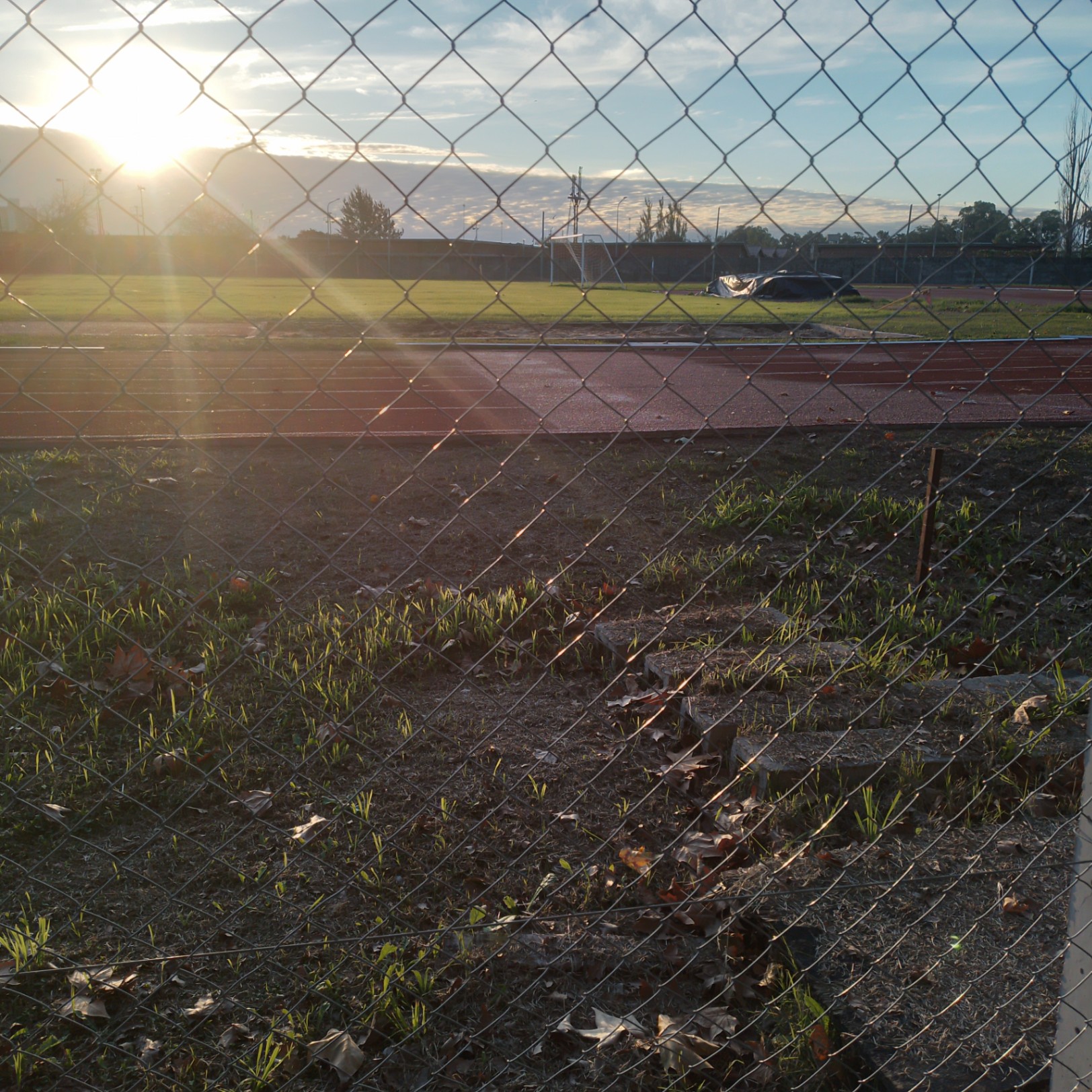 Sol de mi mañana 