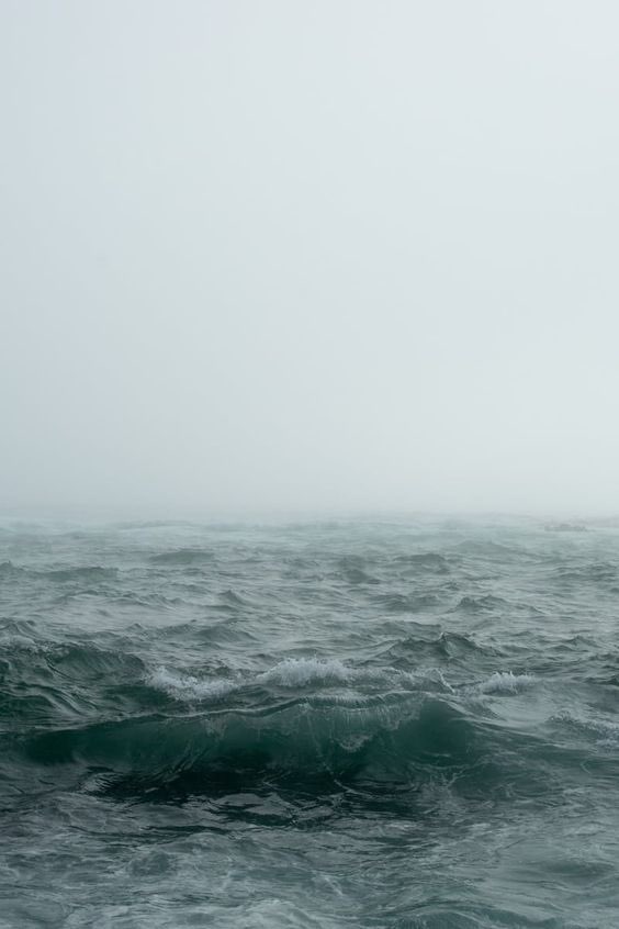 Tiré mis pertenencias al mar