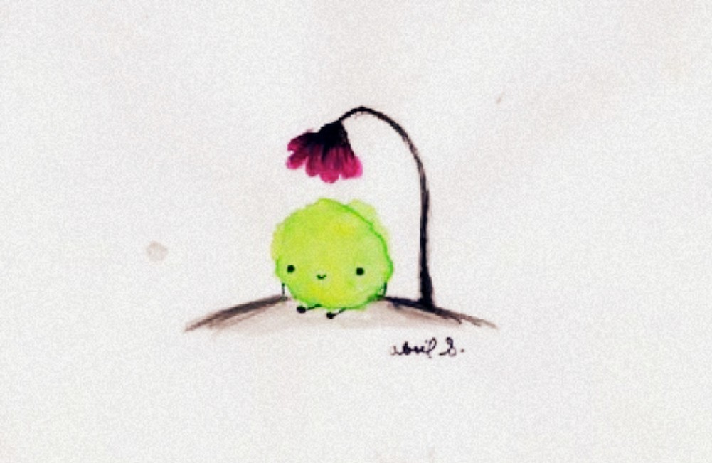 Flor / Cronopio