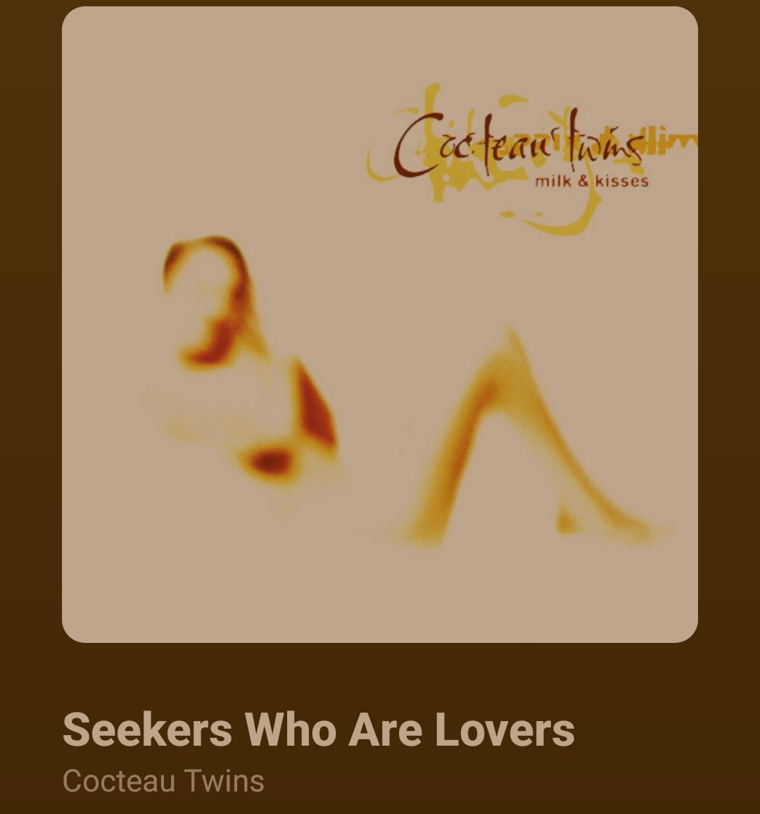 en la plaza, ¡magia negra! 