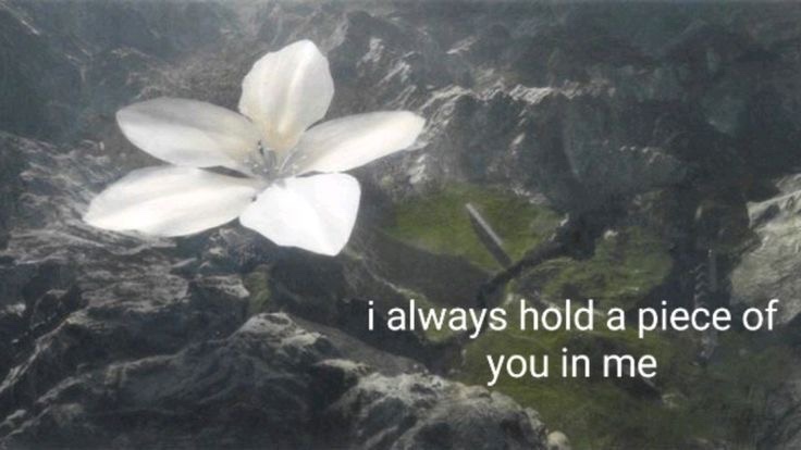 my mind & me