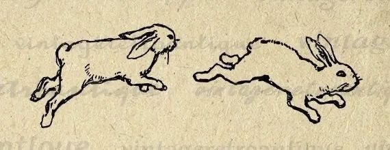 Recopilación de sueños