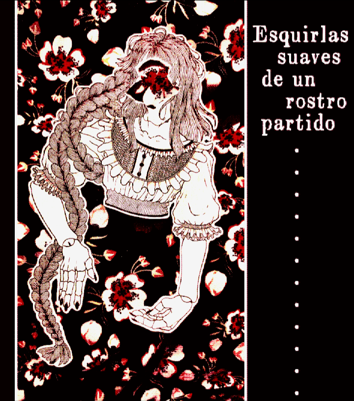 •Esquirlas suaves de un rostro partido•