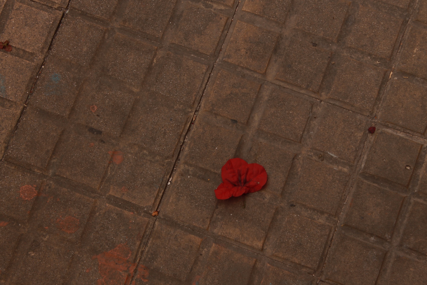 Las hojas de los cuchillos están hechas de acero y las flores se secan al sol