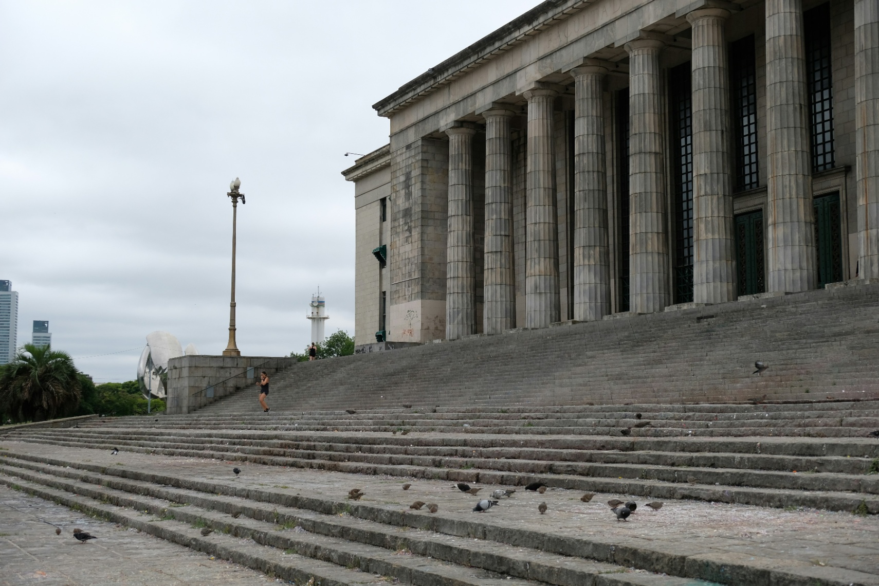 La Facultad de Derecho: Formación, Carrera y Oportunidades en el Campo Jurídico