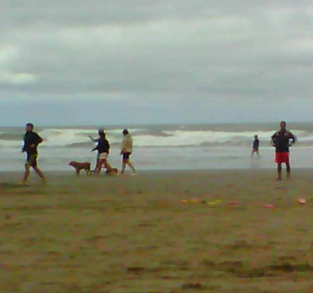 Ave Fósil y Caracol Coetáneo 