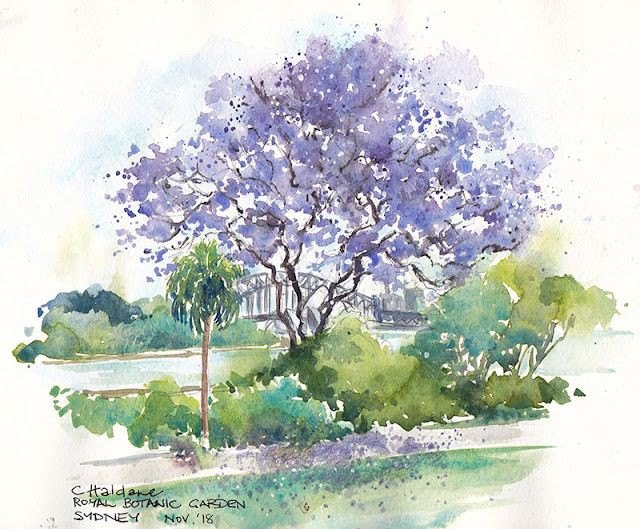 El jardín sigue allí.