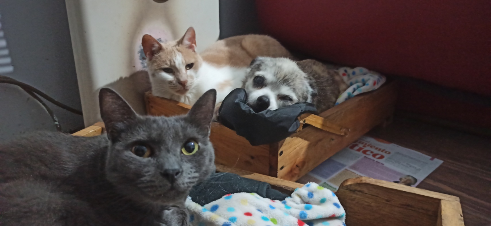 Sammuel MAGARIÑOS cover img