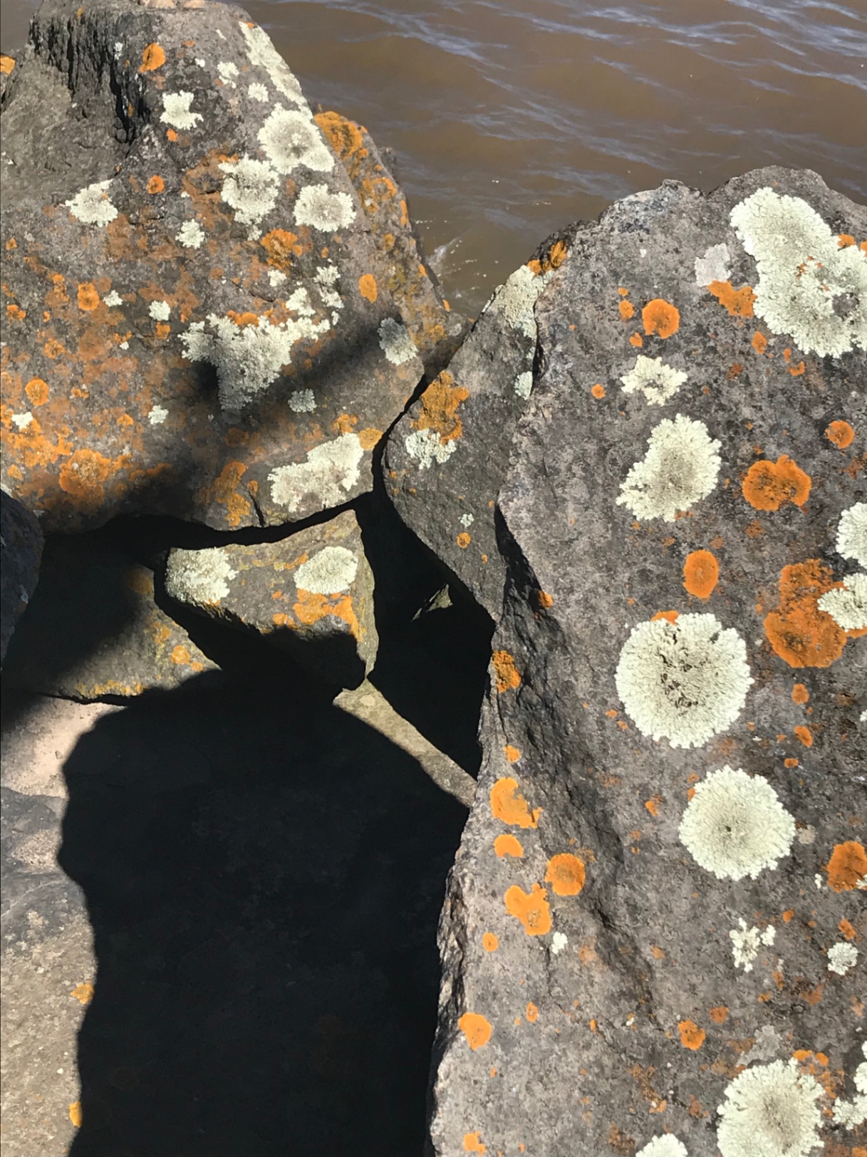 La religión del agua