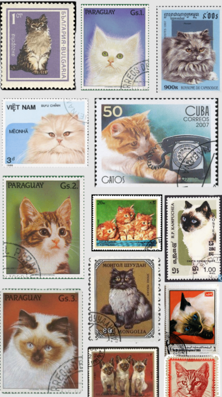 para mi amiguito en anonimato