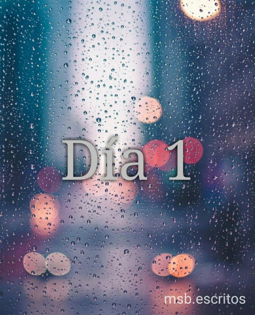 Día 1