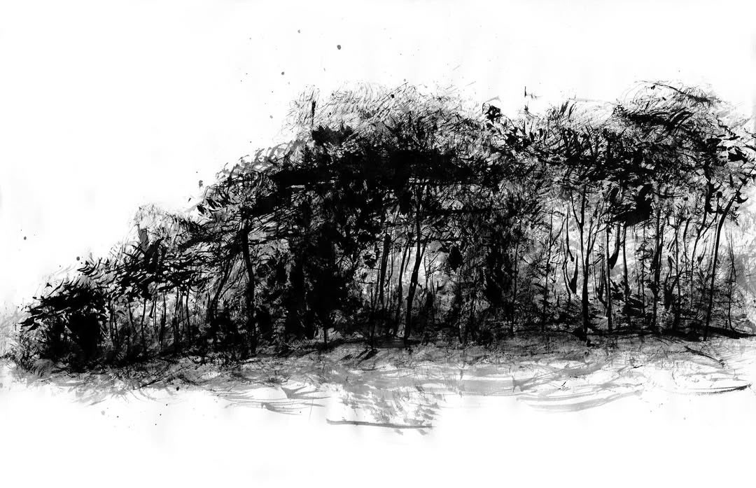 antimanifesto cover img