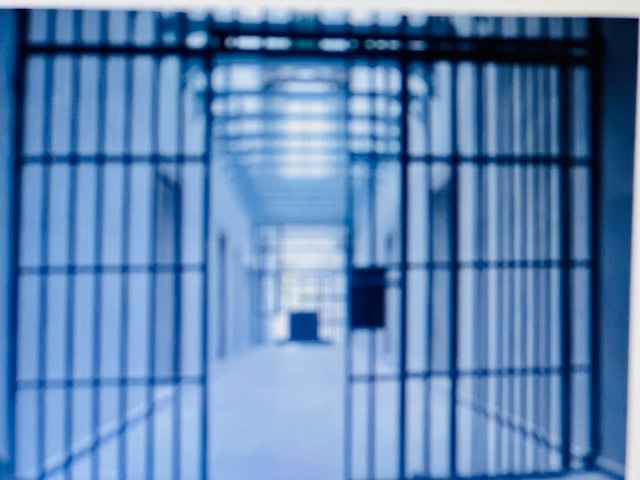 La Psicología Penitenciaria: Un Análisis desde la Praxis en el Servicio Penitenciario Federal (SPF) de Argentina