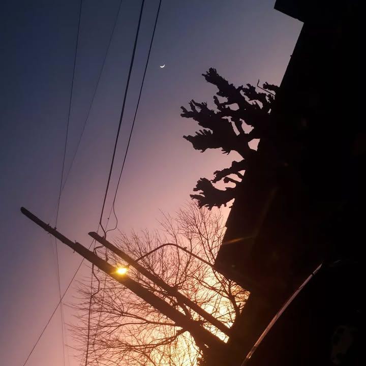 De-Lirios de Luna.