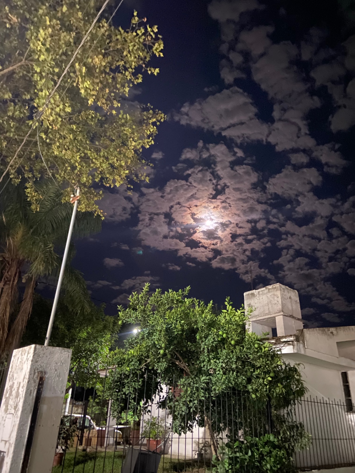 19 días y 500 noches 