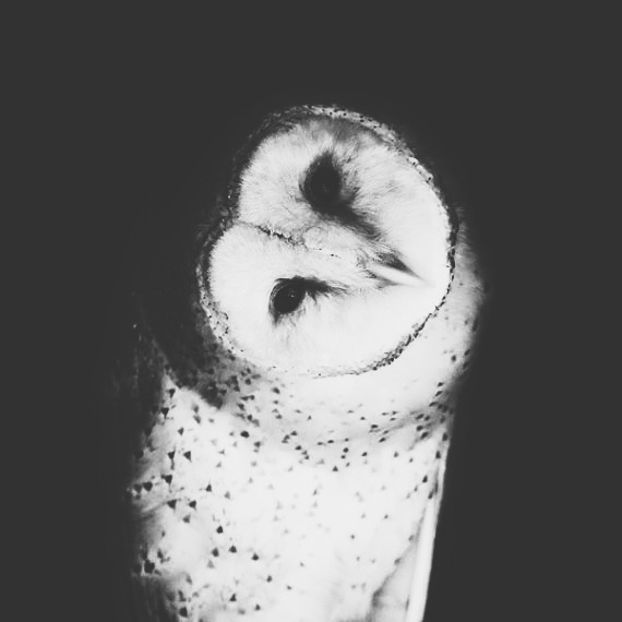 e.