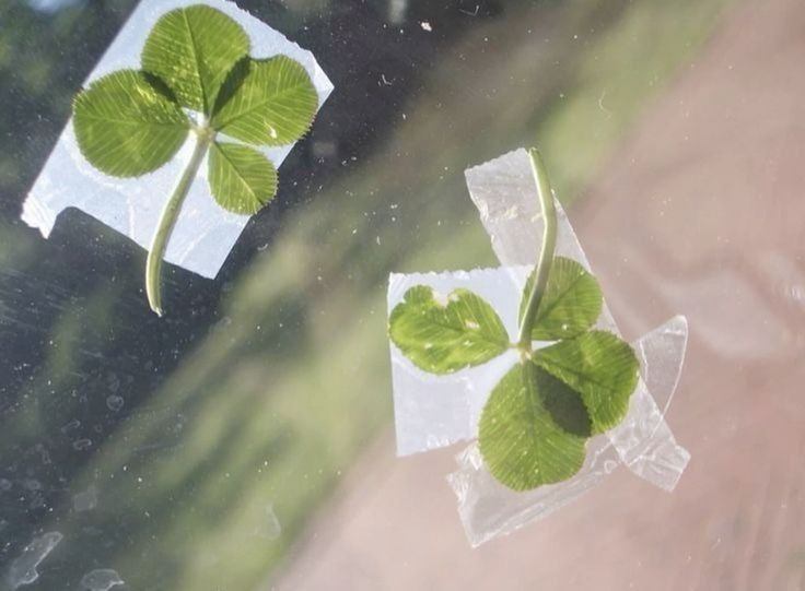 ¿a qué jugaremos hoy?