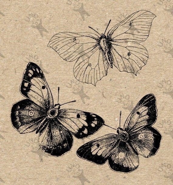 victoria .𖥔 ݁  cover img