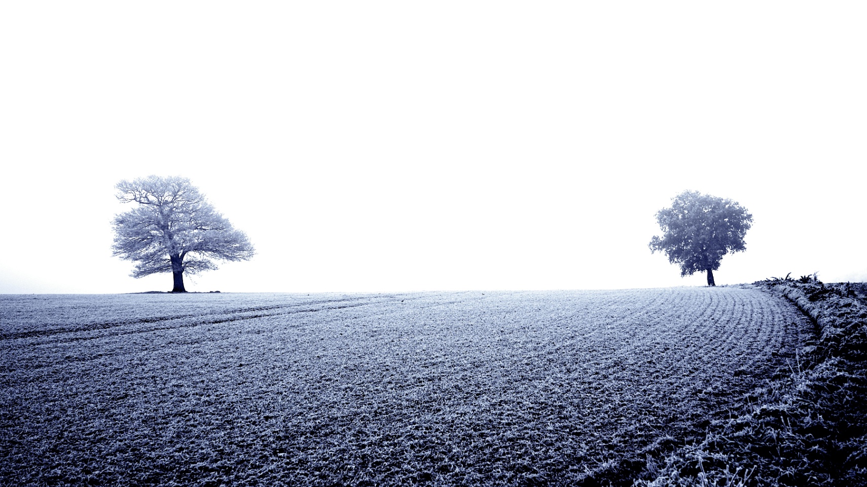 Lo que ya no quiero callar