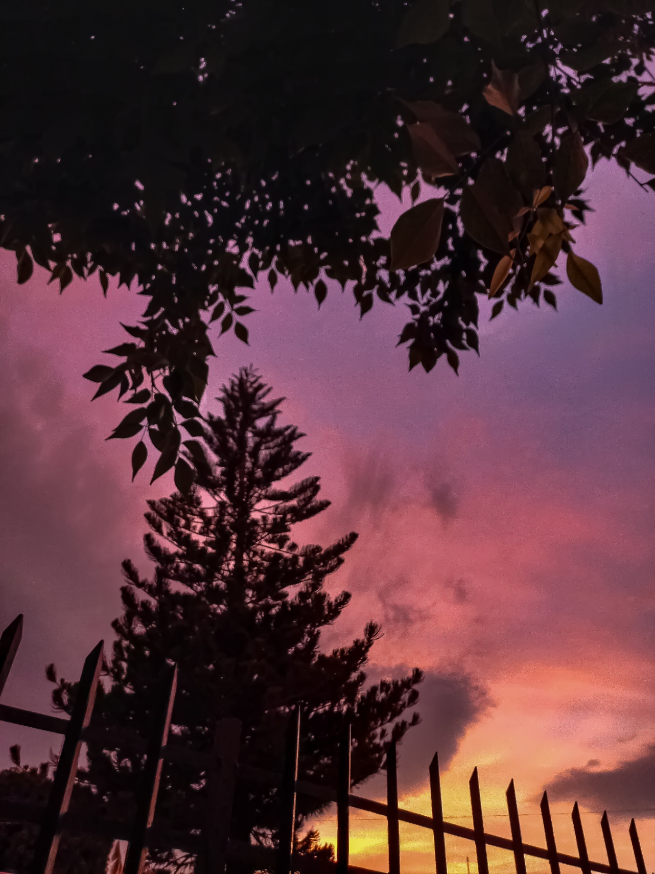 Atardecer rosado
