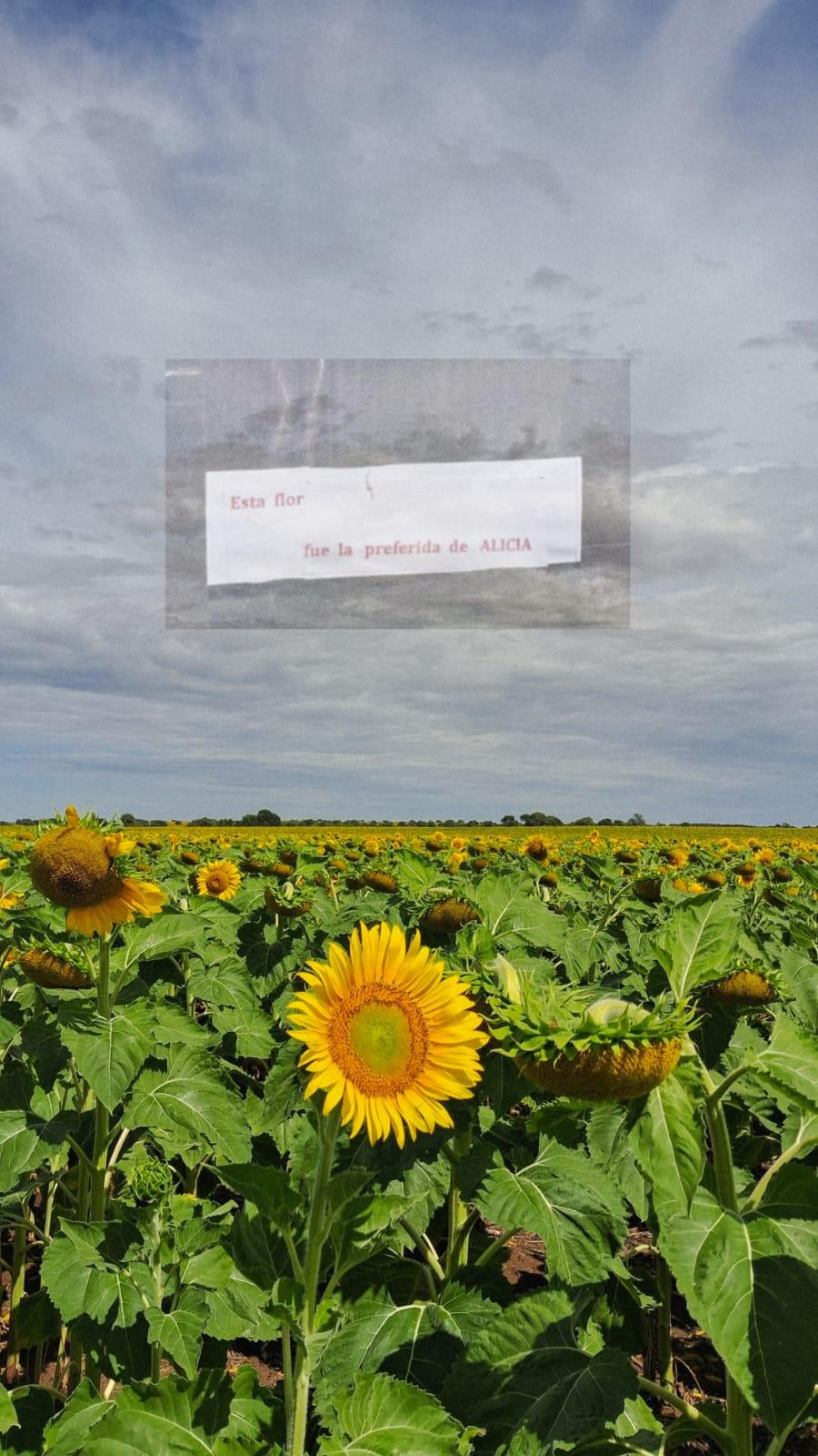 tu flor preferida
