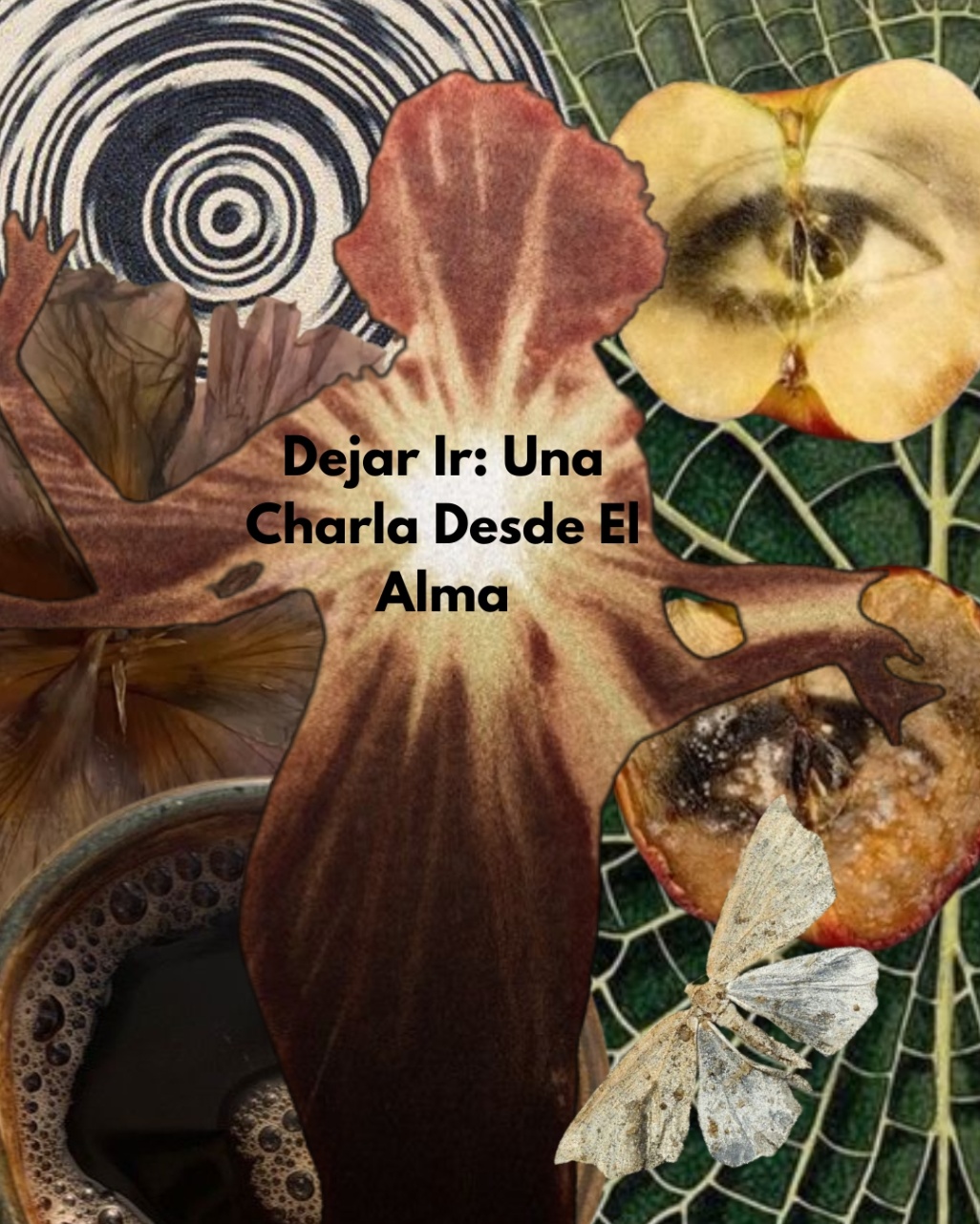 Dejar Ir: Una Charla Desde El Alma