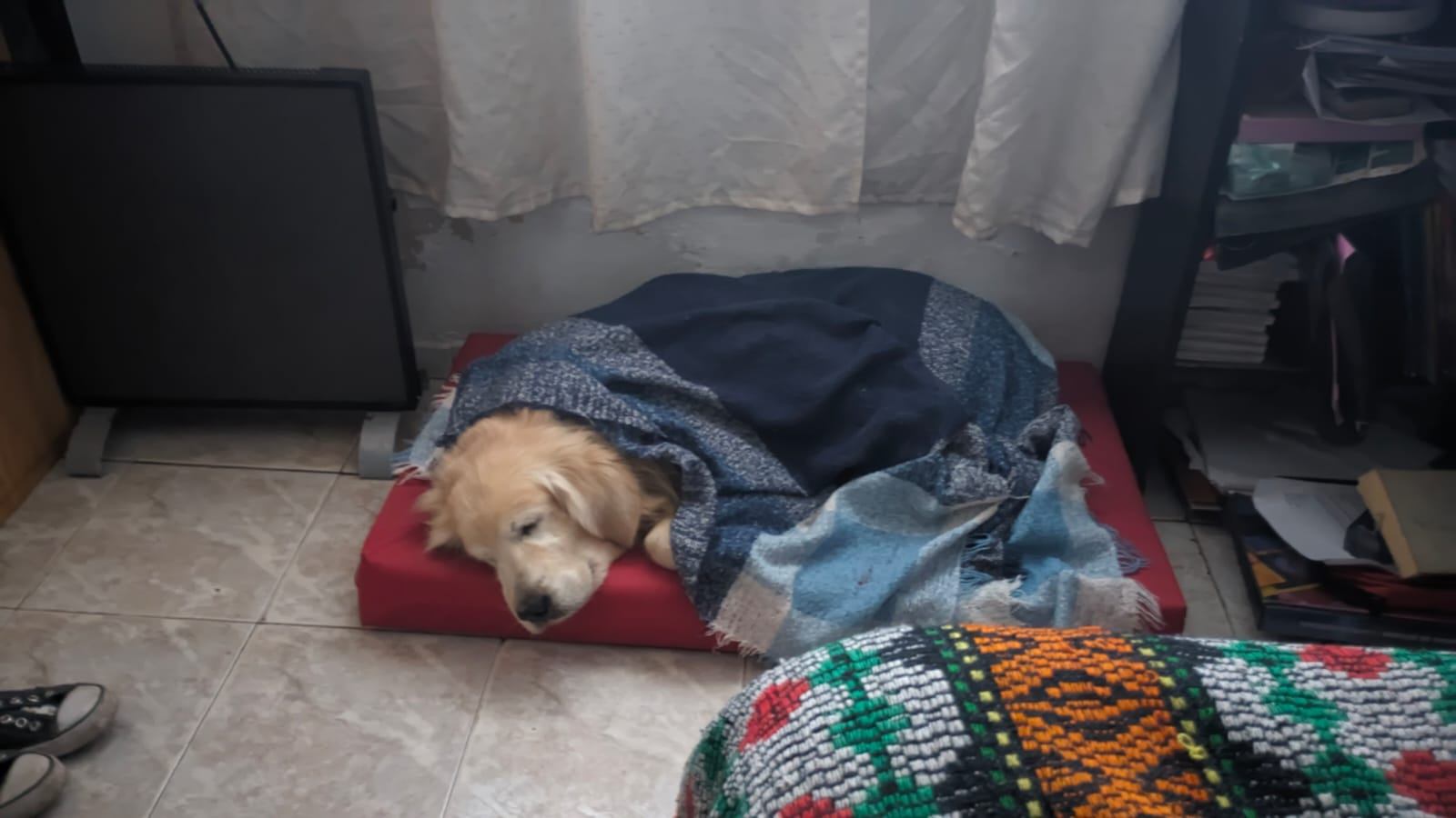 Cinco meses y seis días