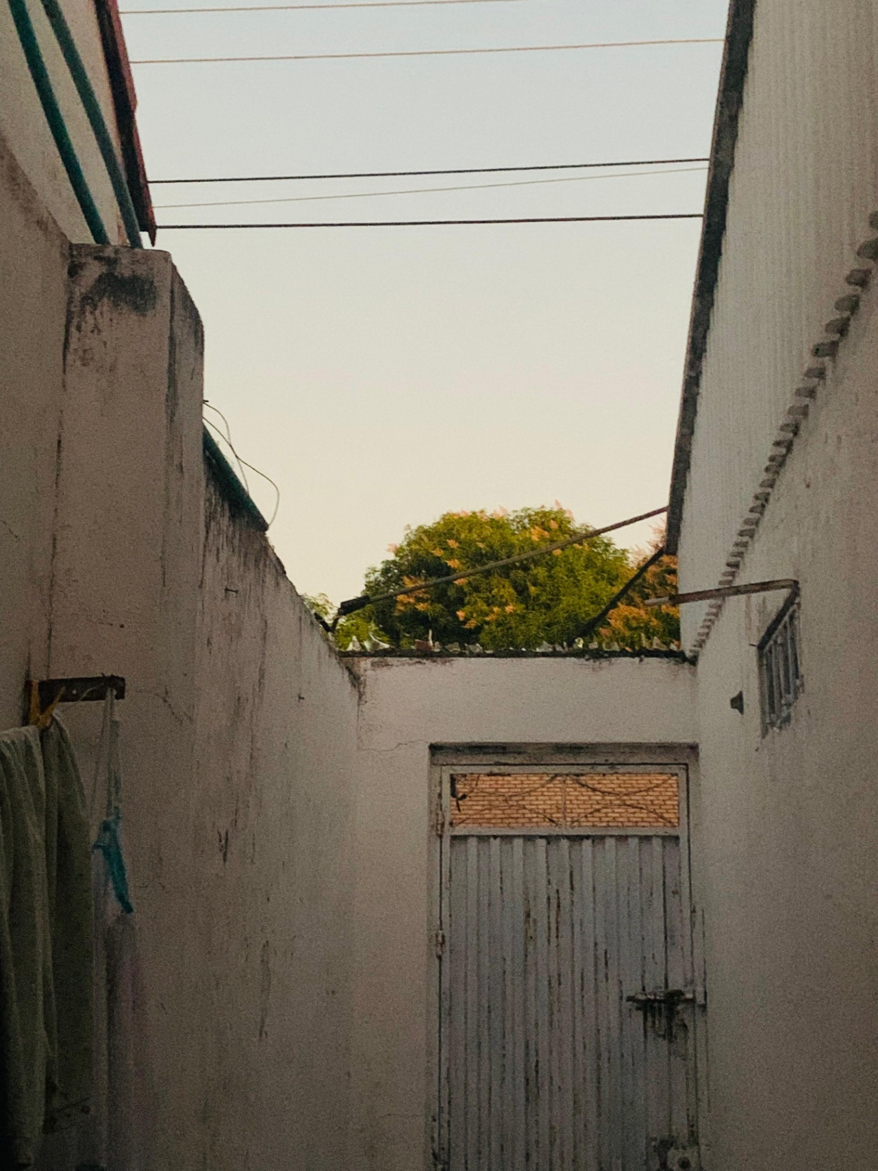 la amiga del cielo