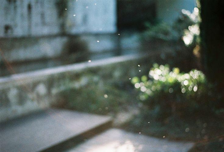 si alguien me preguntara qué me gusta de ti, ¿cuál crees que sería mi respuesta?