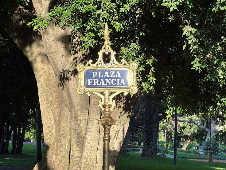 Mirlas en Plaza Francia