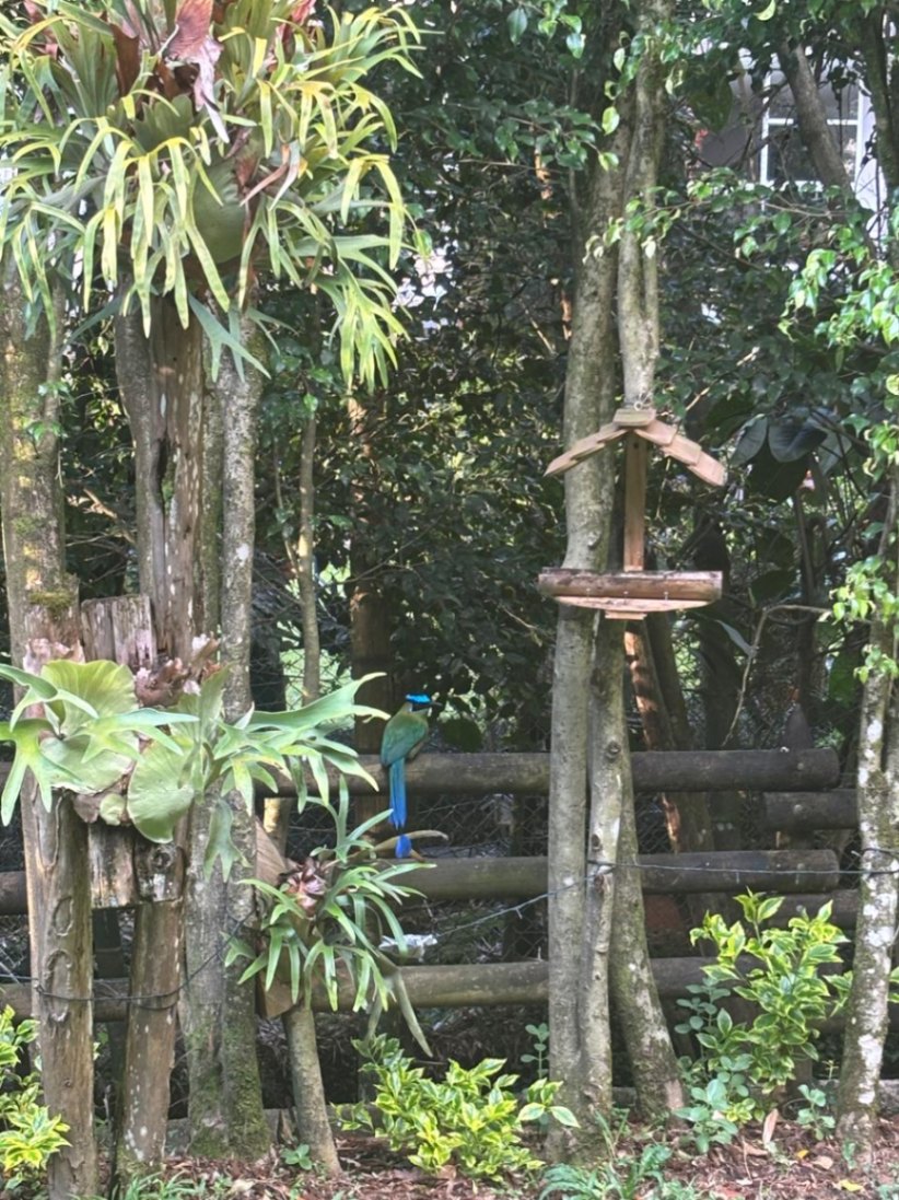 Desde mi ventana, soledad y yo