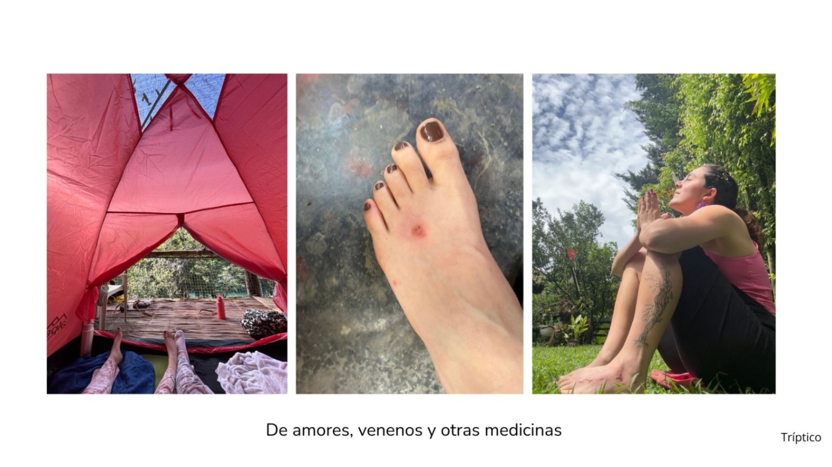 De amores, venenos y otras medicinas