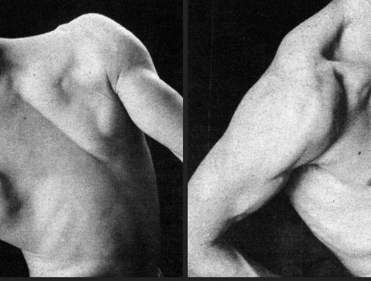 testigo del alma cover img