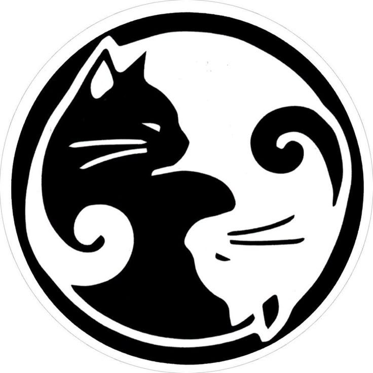 profile img Kittyli profile img
