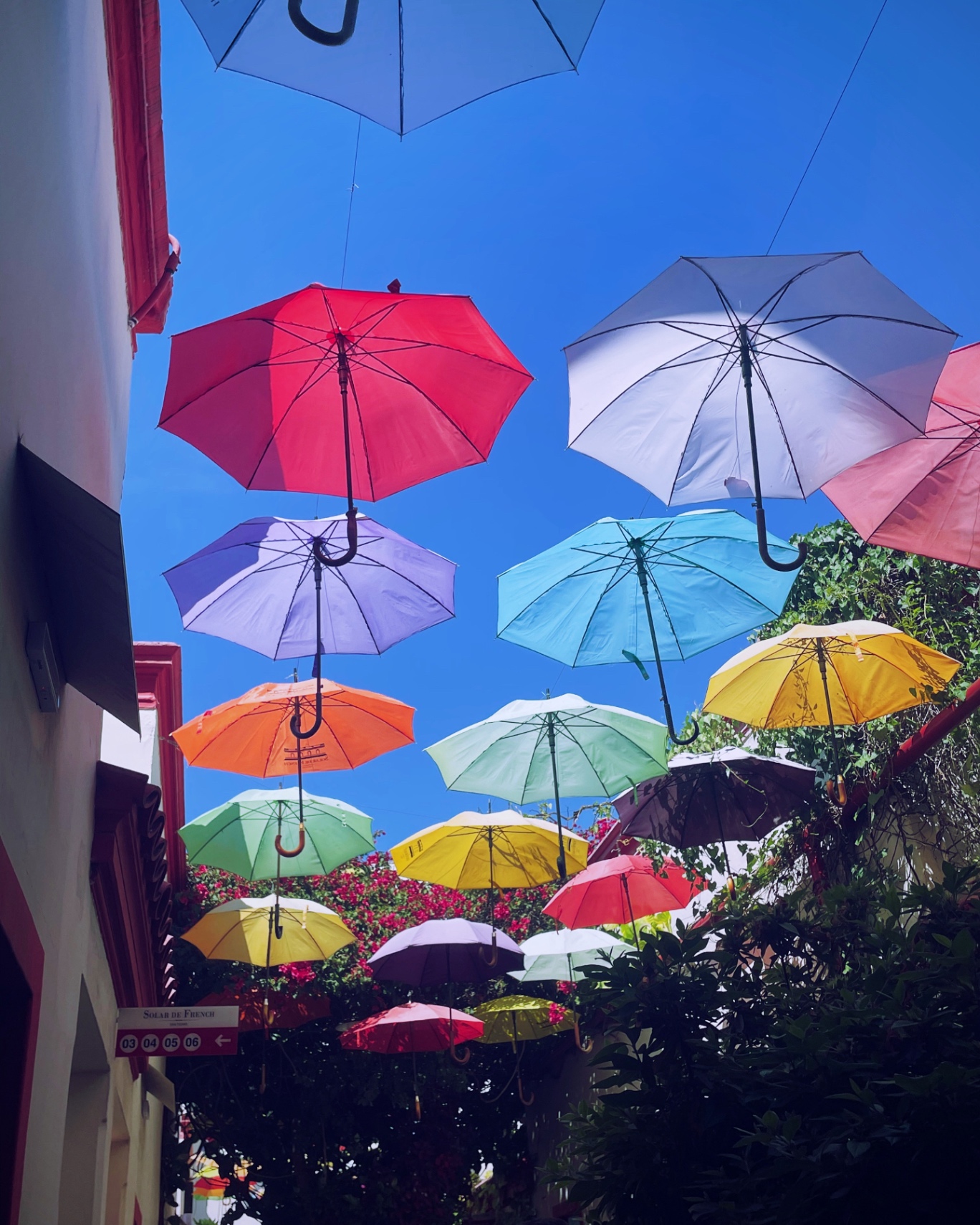 Brian Olivera cover img