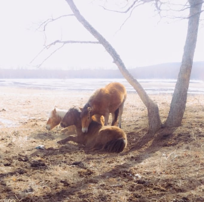 Espíritu del cabello suelto