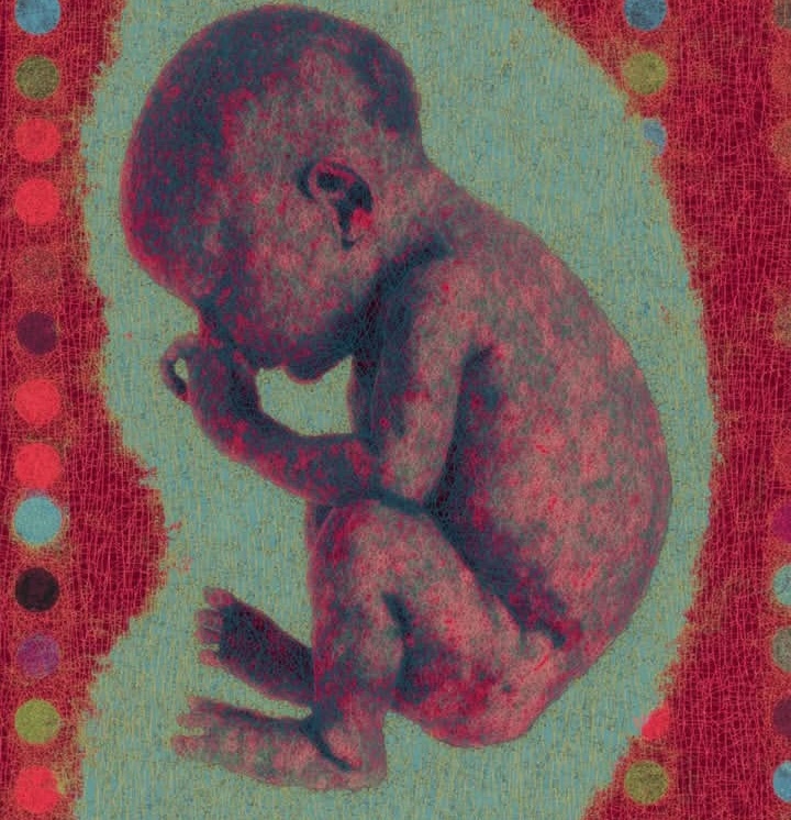 Las órdenes del bebe