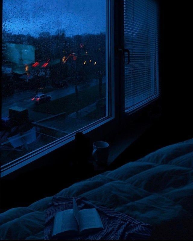night('/s) missing (u)