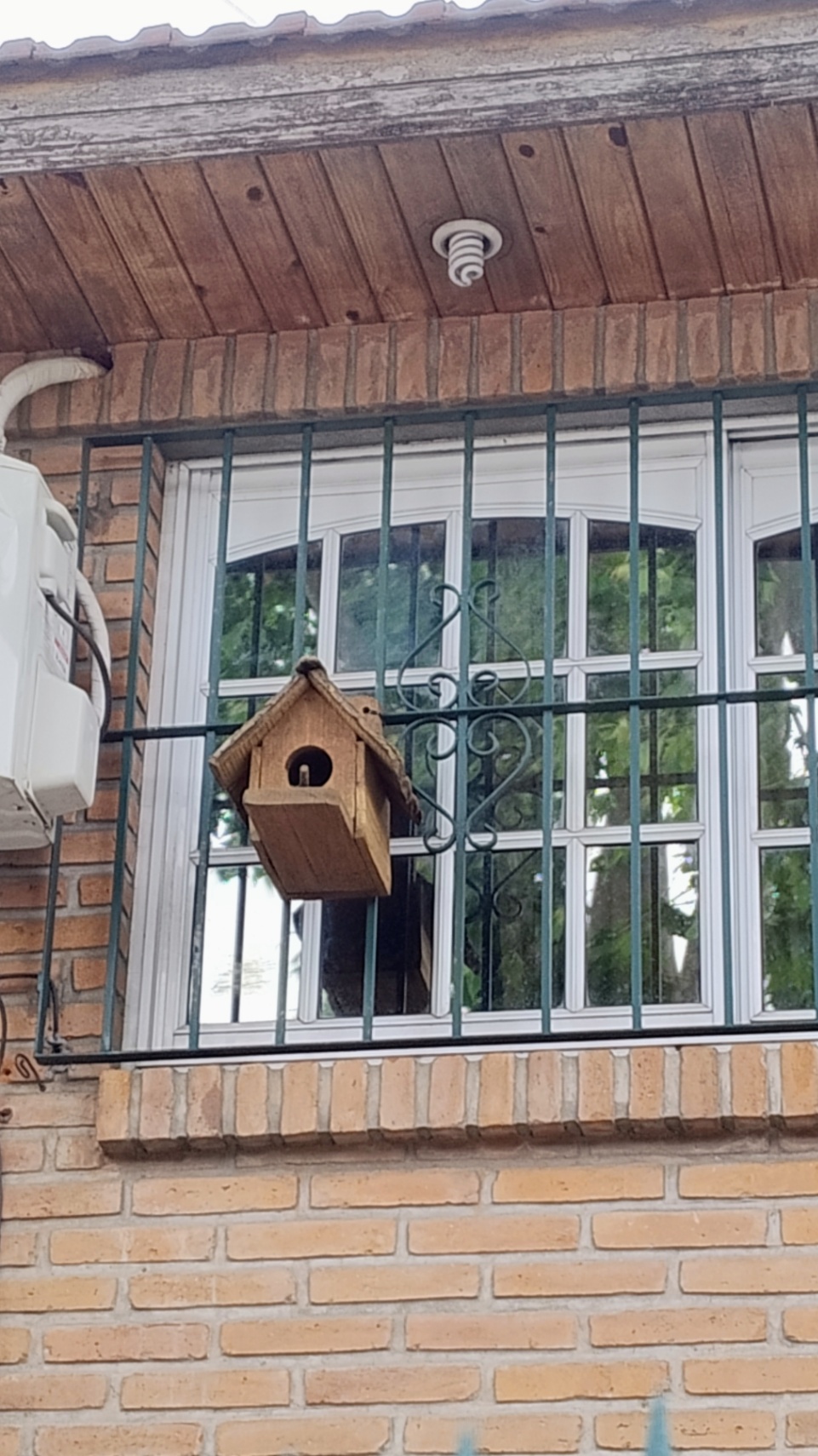 Un pecado de mi antiguo yo