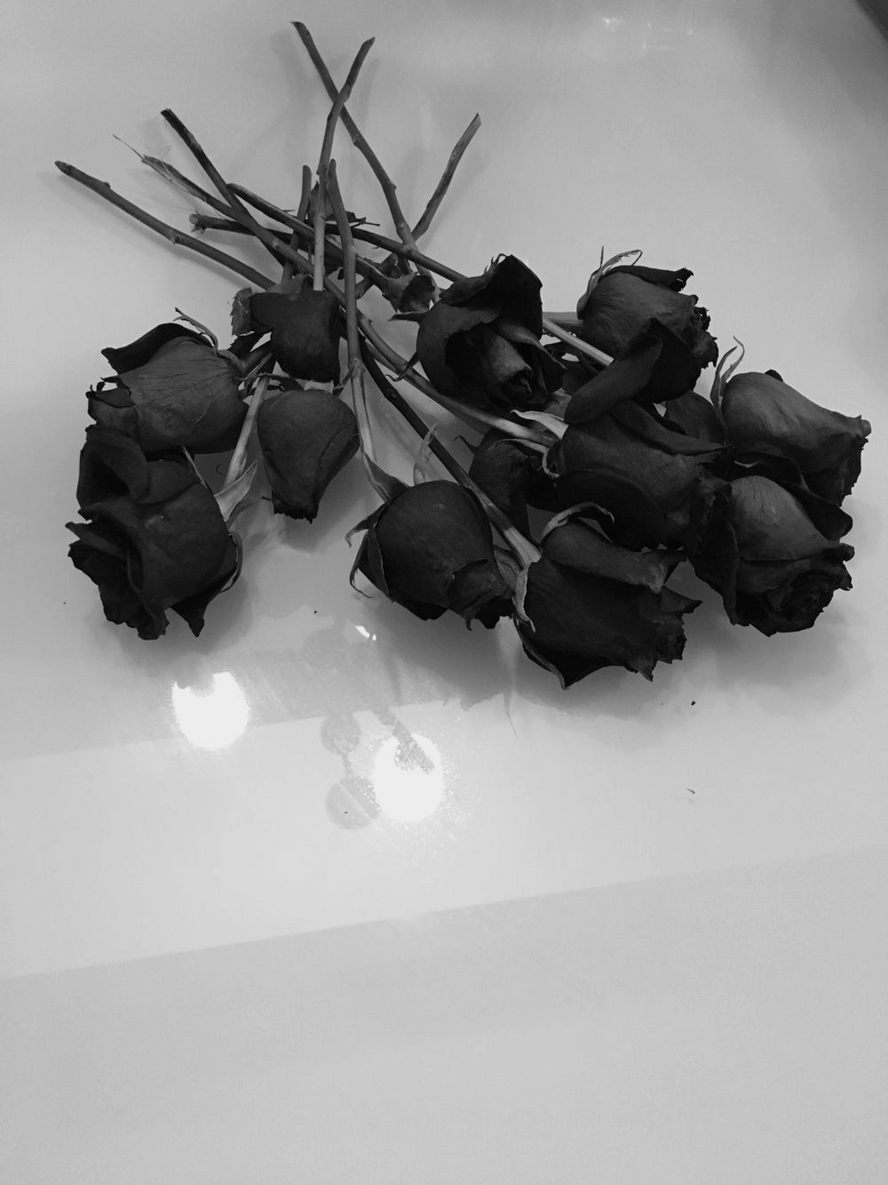 Rosas muertas.