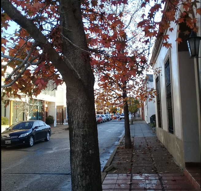 Extraño esa sensación de sentir..