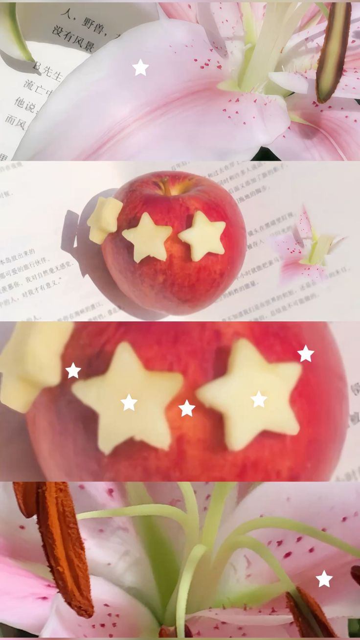 𖤣.𖥧.𖡼.𖤣  cover img