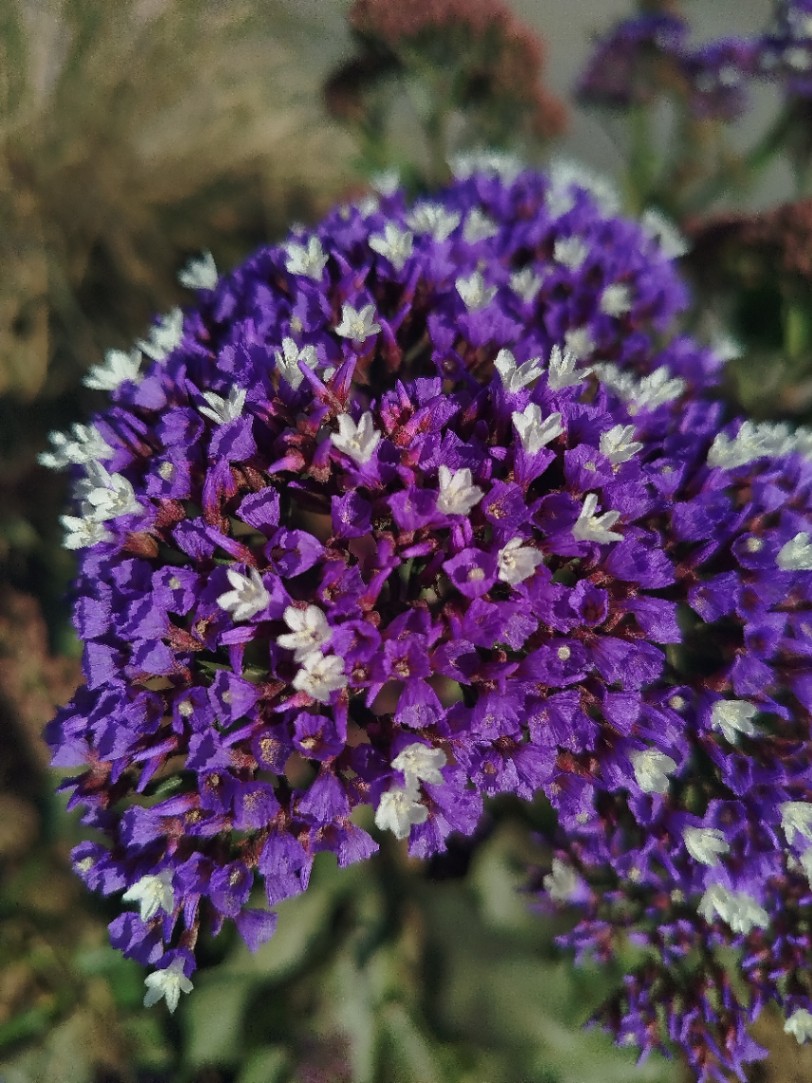 profile img Alex Cuevas profile img