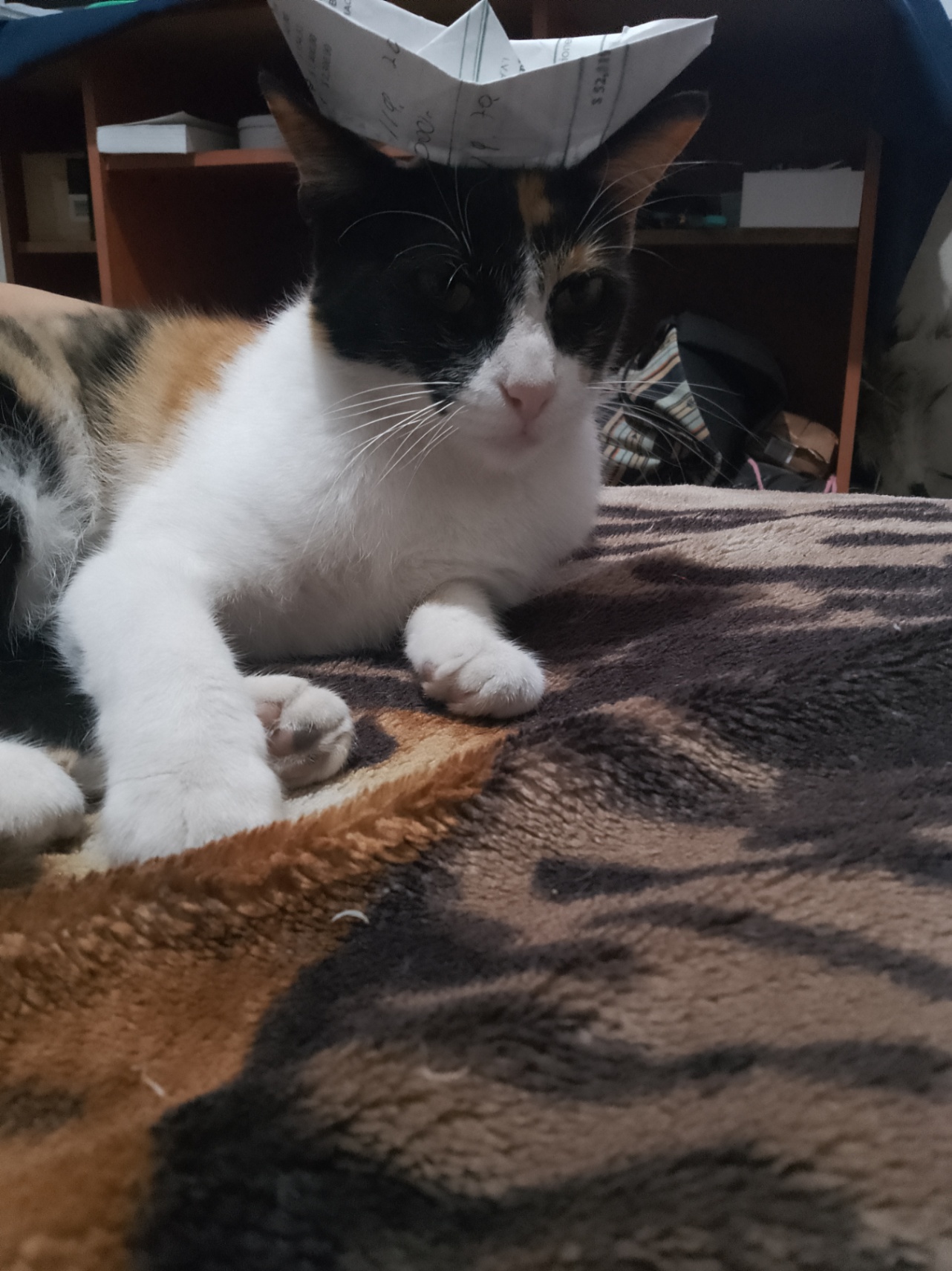 Preguntas sin respuestas... Una reflexión y nota mental