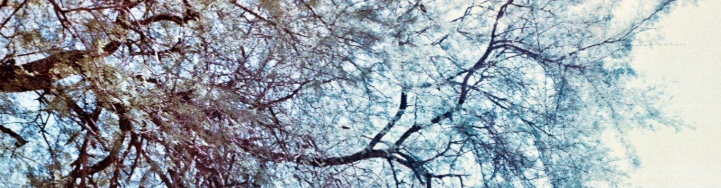 Rocío Butman cover img